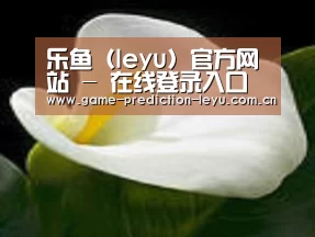 产品名称七