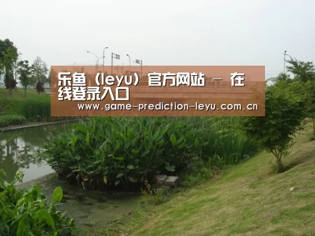 案例展示四