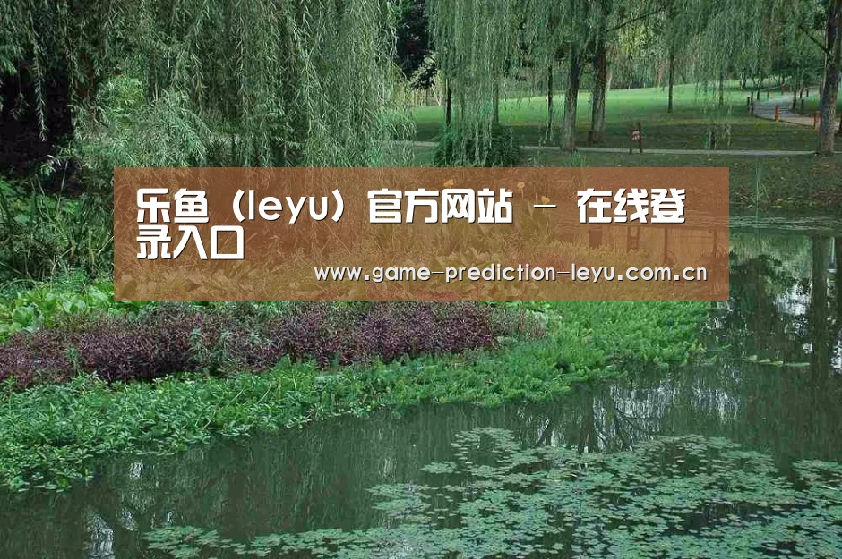 案例展示一