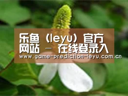 产品名称三