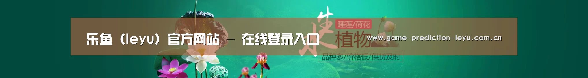 鲜花水草花卉网站模板