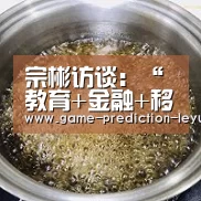 宗彬访谈:“教育+金融+移民+留学”四轮驱动:乐鱼登录(图2) 乐鱼棋牌官网