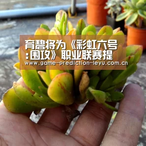 育碧将为《彩虹六号:围攻》职业联赛提供收入分成【乐鱼登录】(图1) 乐鱼登录